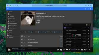 Playback Queue in Navidrome