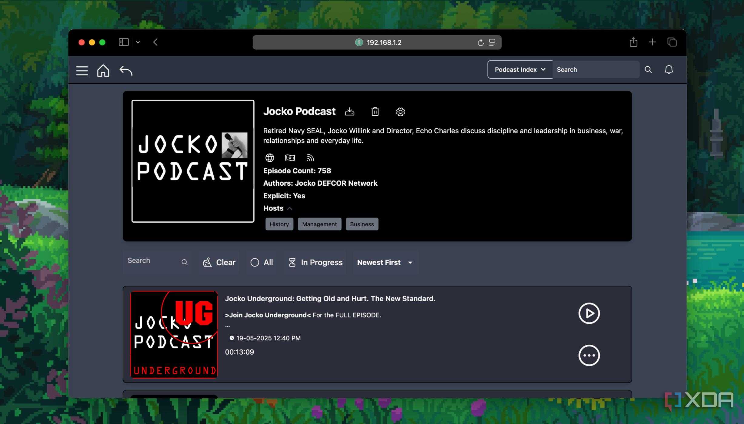podcast details in pinepods