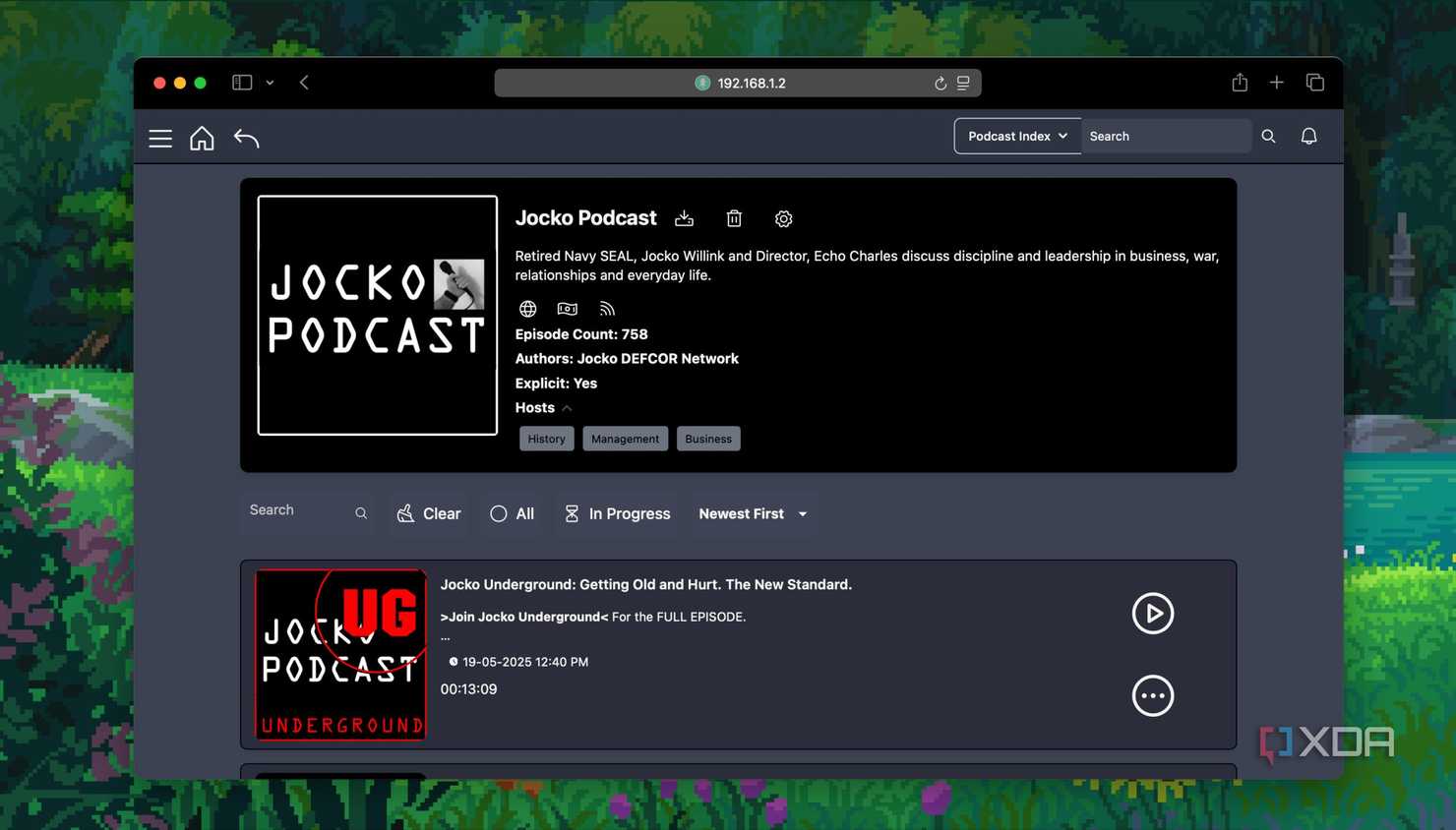 podcast details in pinepods