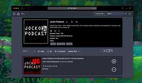 podcast details in pinepods
