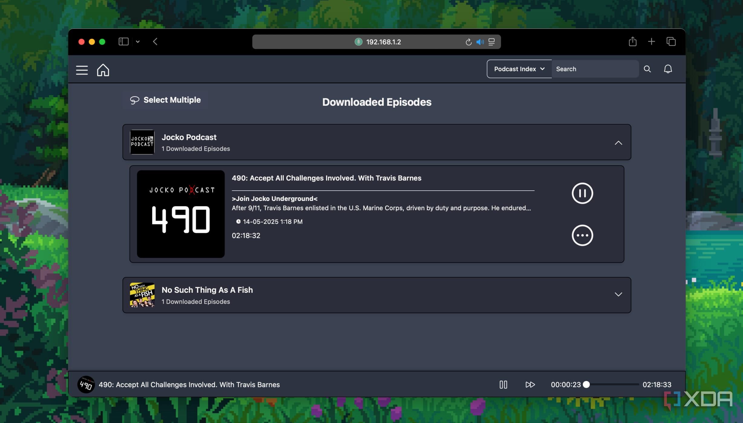 Podcast episode playback in pinepods