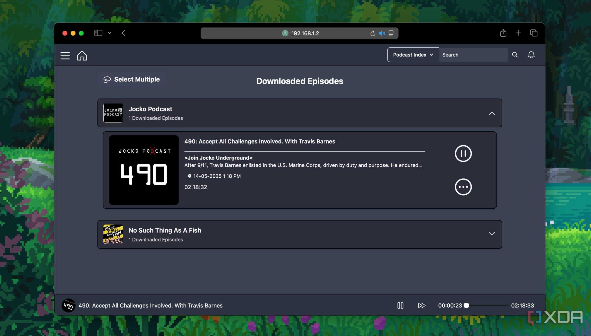 Podcast episode playback in pinepods