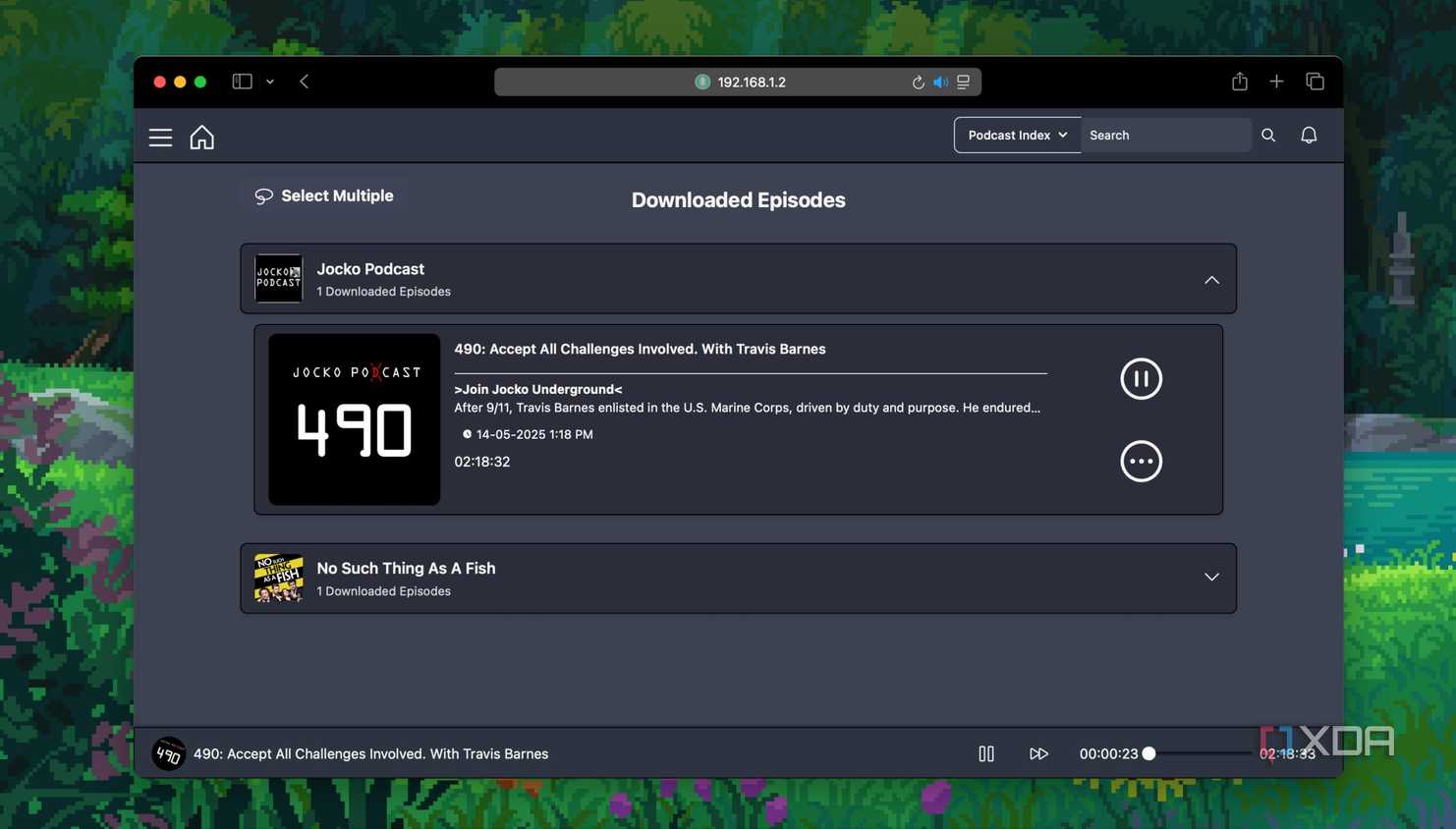 Podcast episode playback in pinepods