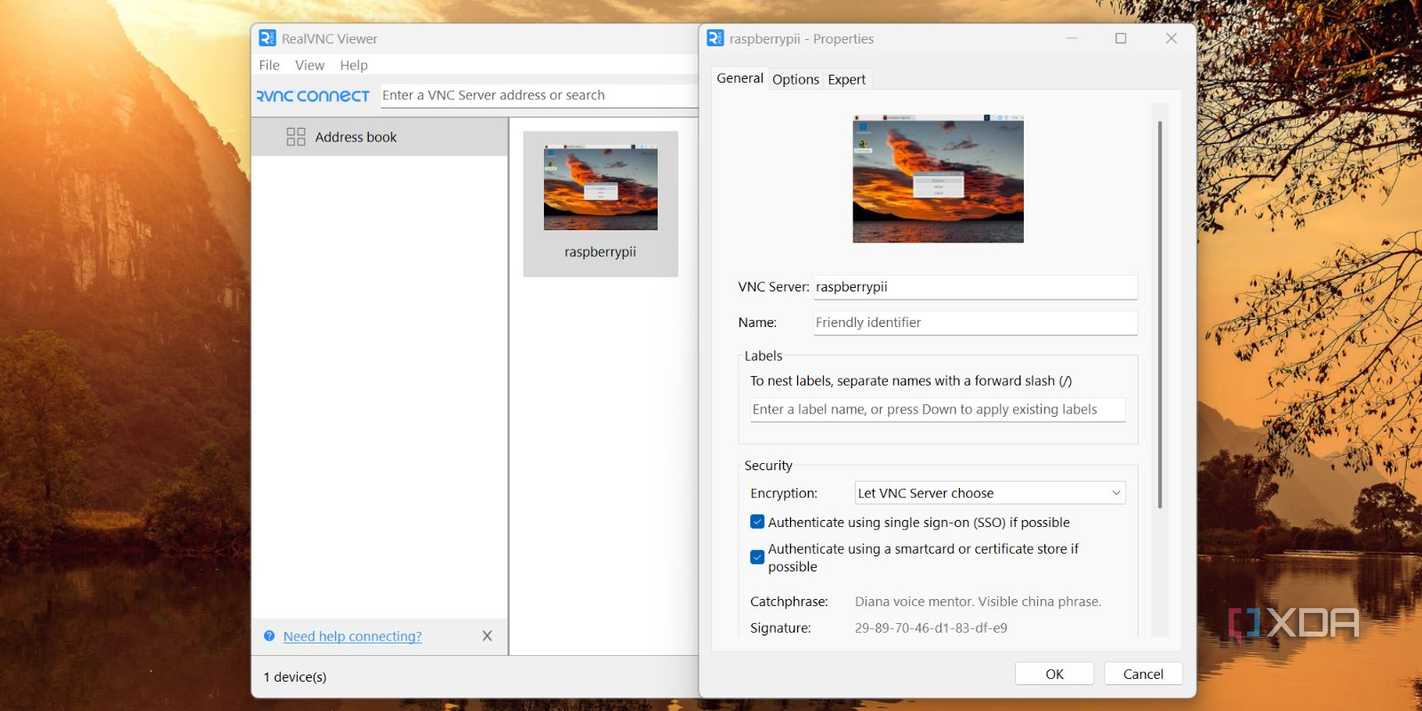 screenshot of realvnc device configure window