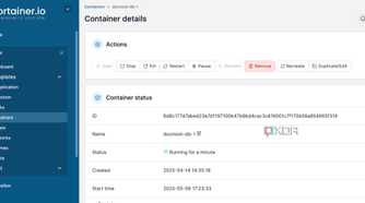 Portainer container details