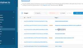 Portainer image management