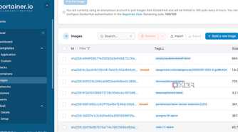 Portainer image management