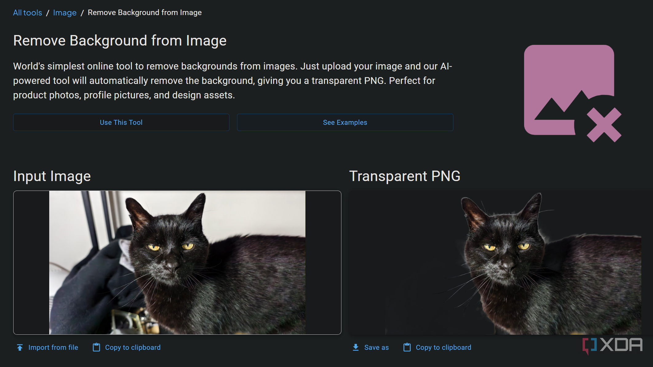 removing background from image in omni tools