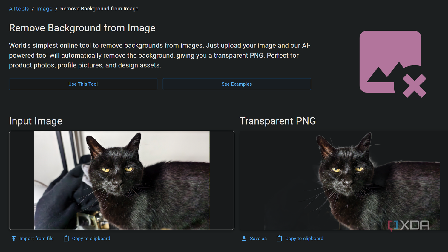 removing background from image in omni tools