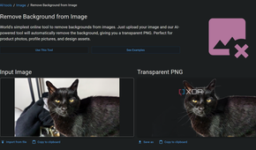 removing background from image in omni tools