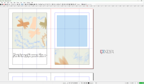 Scribus allign frame