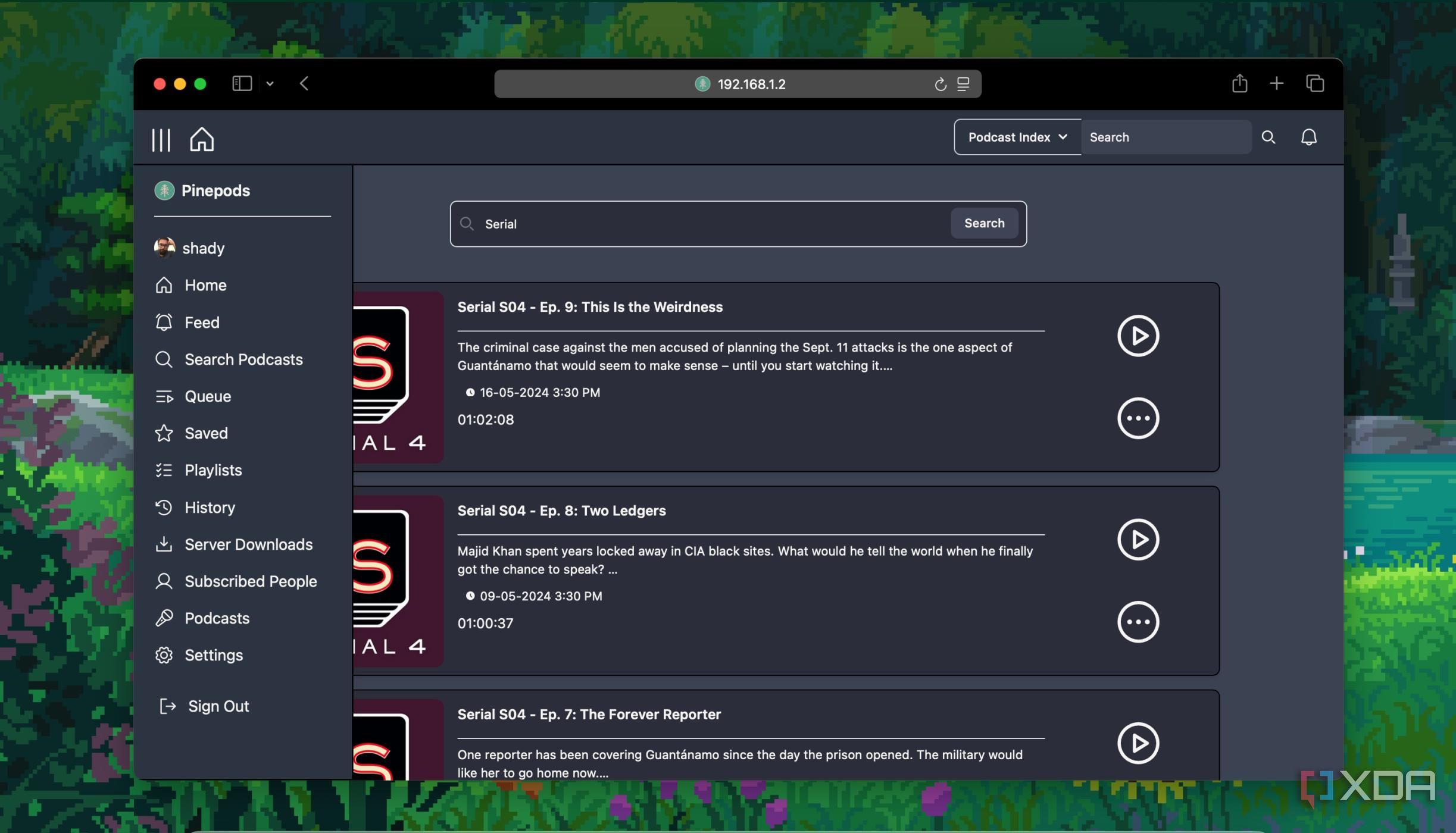 Searching podcasts in pinepods
