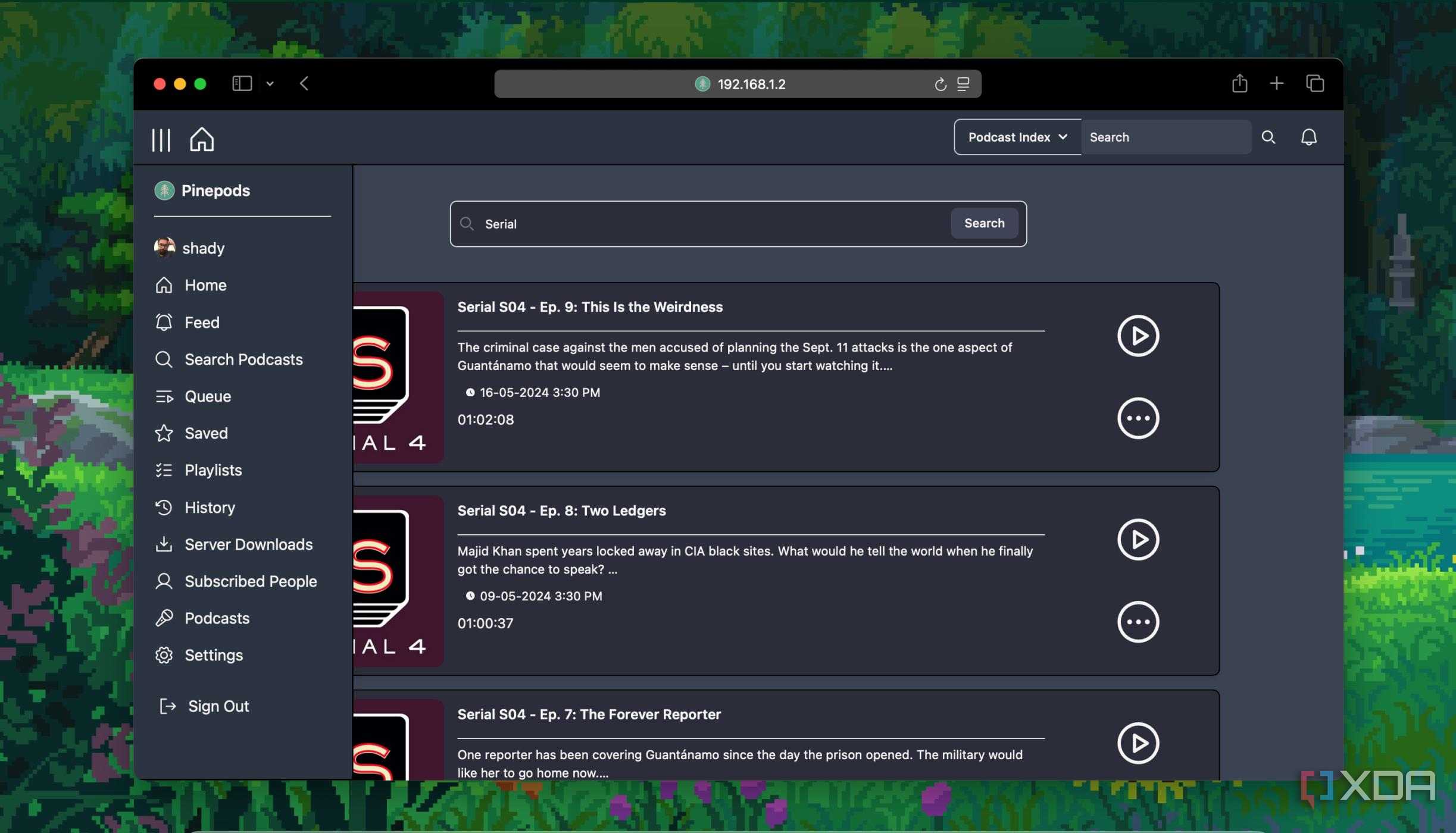 Searching podcasts in pinepods