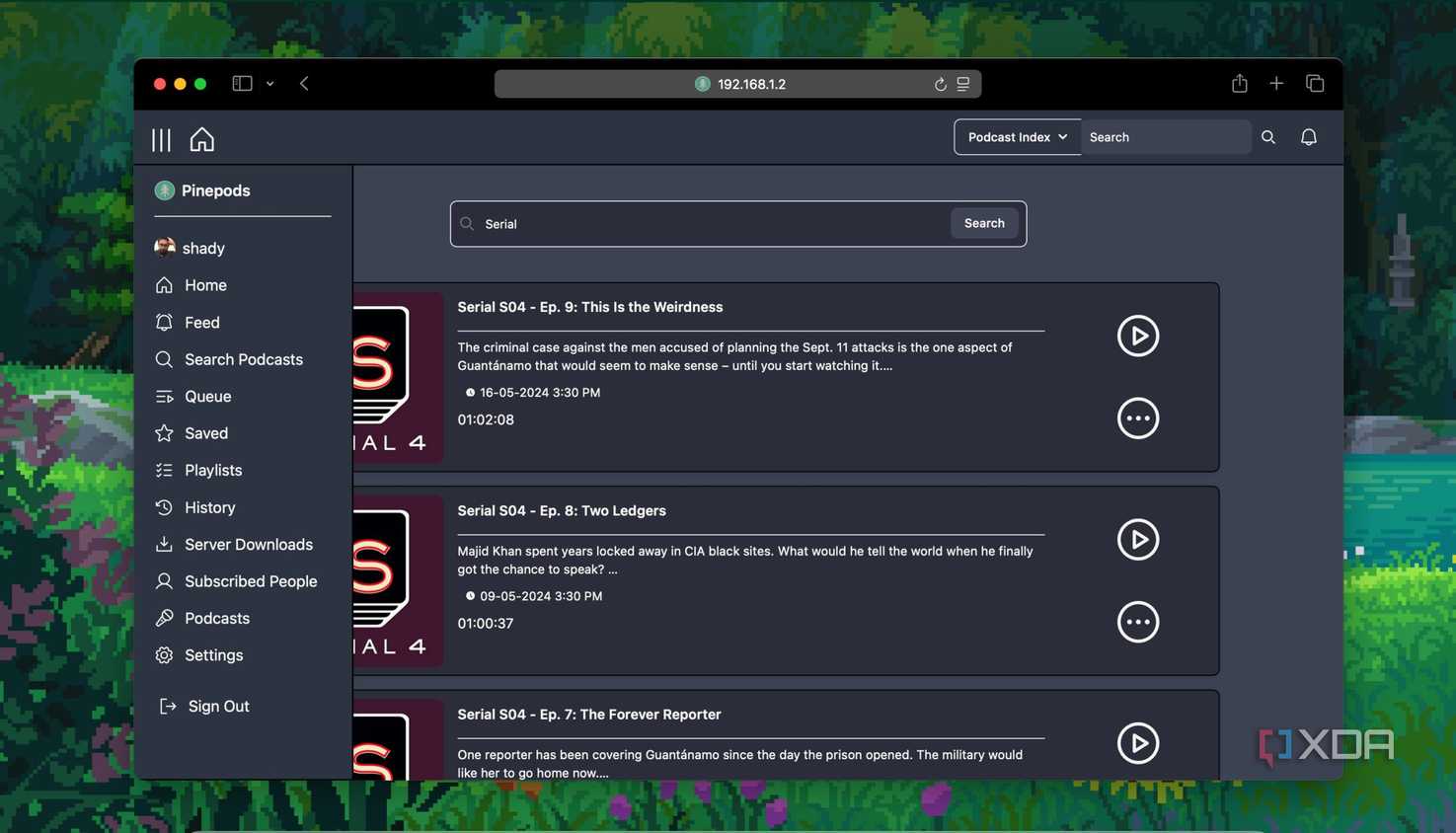 Searching podcasts in pinepods