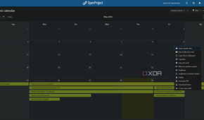 test calendar in openproject