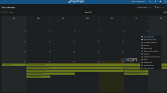 test calendar in openproject