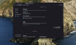 Screenshot of Tor connection settings in the Tor browser