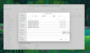 Uploading books Calibre-web server self-hosted instance