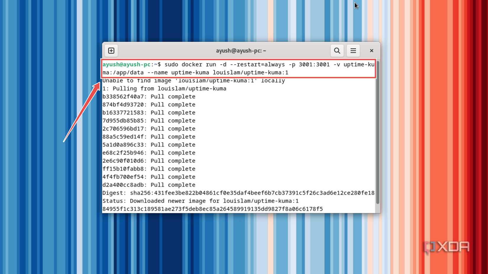 Running the command to deploy an Uptime Kuma server