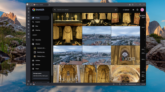 Screenshot of the timeline in Immich showing photos from February 2025