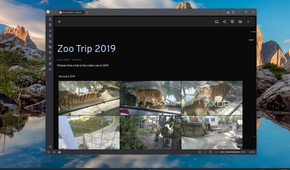 Screenshot of an album in Immich showing photos from the Lisbon Zoo