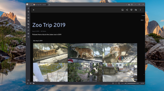 Screenshot of an album in Immich showing photos from the Lisbon Zoo