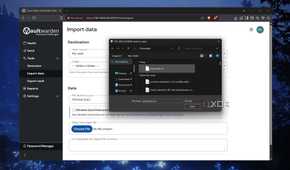 Importing passwords in Vaultwarden
