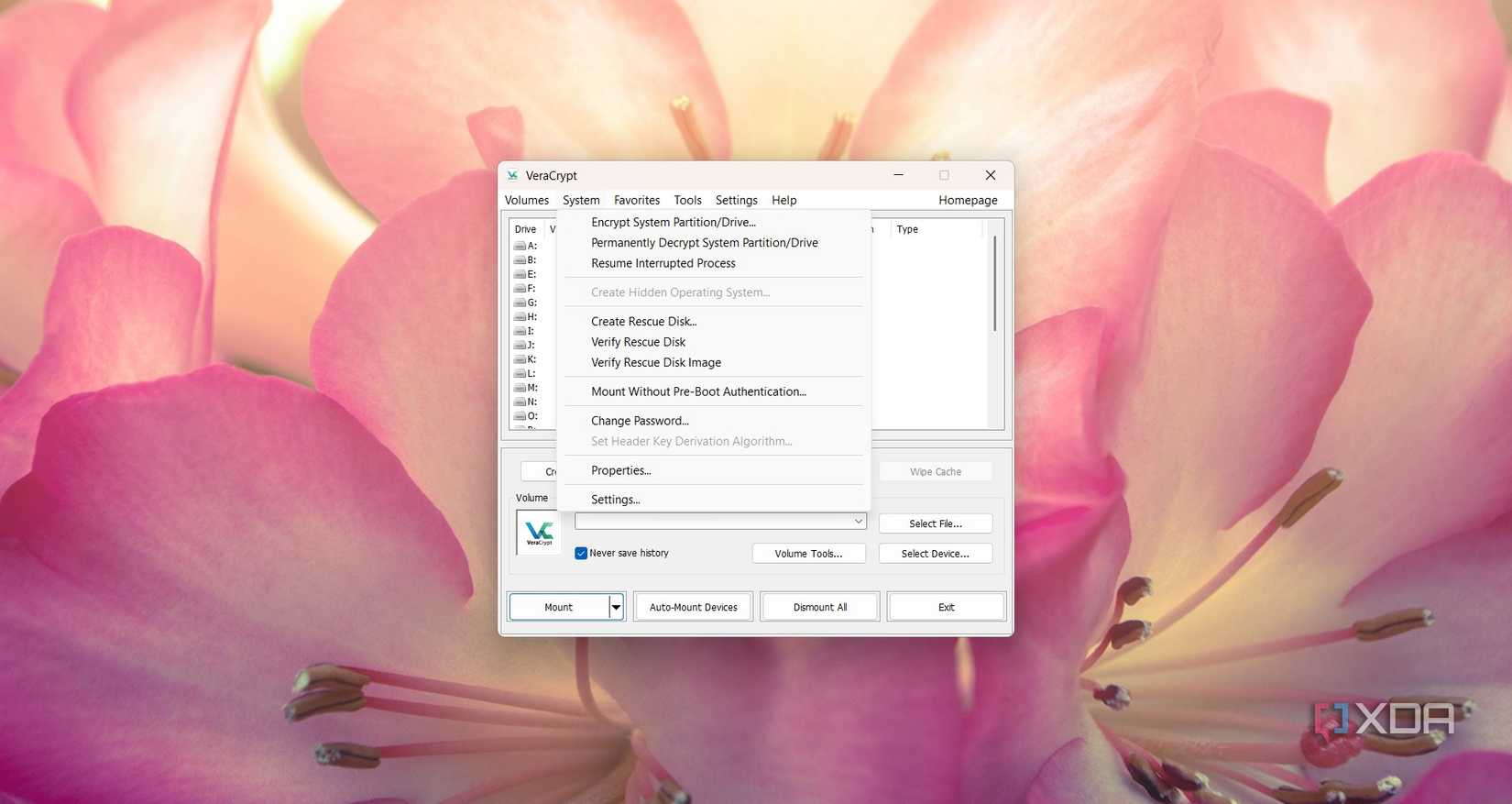 Using the VeraCrypt encryption options