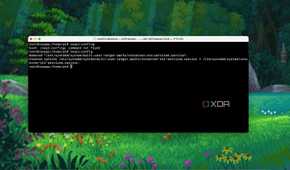 VNC Service enabled confirmation in Terminal on Raspberry Pi
