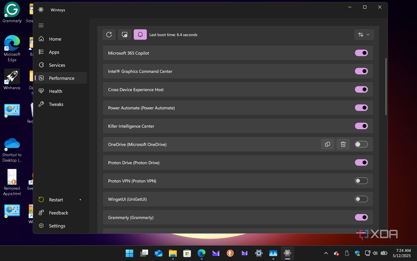 Shows running Wintoys performance section