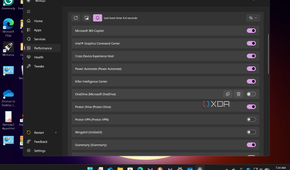 Shows running Wintoys performance section