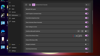 Shows running Wintoys performance section