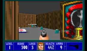 A screenshot from the 1992 DOS game, Wolfenstein 3D.