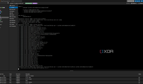 Building Caddy using xCaddy to include Cloudflare DNS