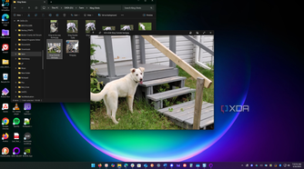 Show the QuickLook app previewing a photo in File Explorer