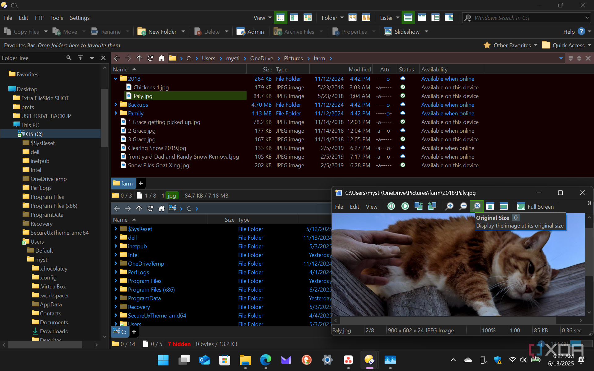5 reasons I love Directory Opus and think everyone should give it a try