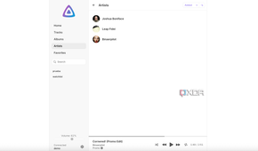 Artists UI on Jellyfin-1