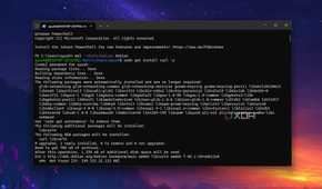 Using the curl command to install Code-Server on a WSL distro