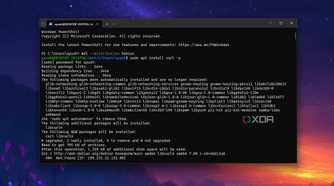 Using the curl command to install Code-Server on a WSL distro
