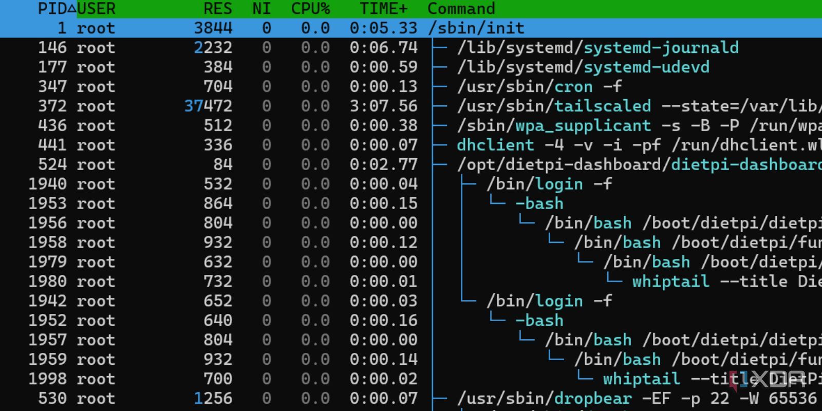 I installed Jellyfin on a Raspberry Pi Zero 2W and here's how it went