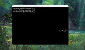 Docker compose YAML file