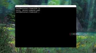 Docker compose YAML file