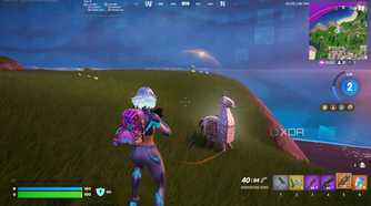 A silver llama in the Blitz Royale mode in Fortnite.