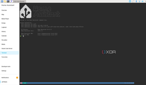 Fully Kiosk Android app on Raspberry Pi