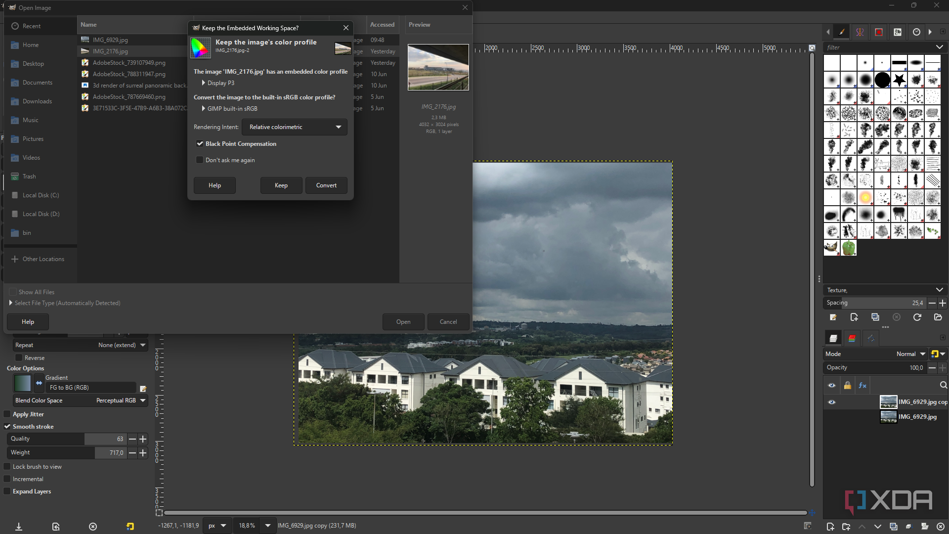 GIMP image import dialog box