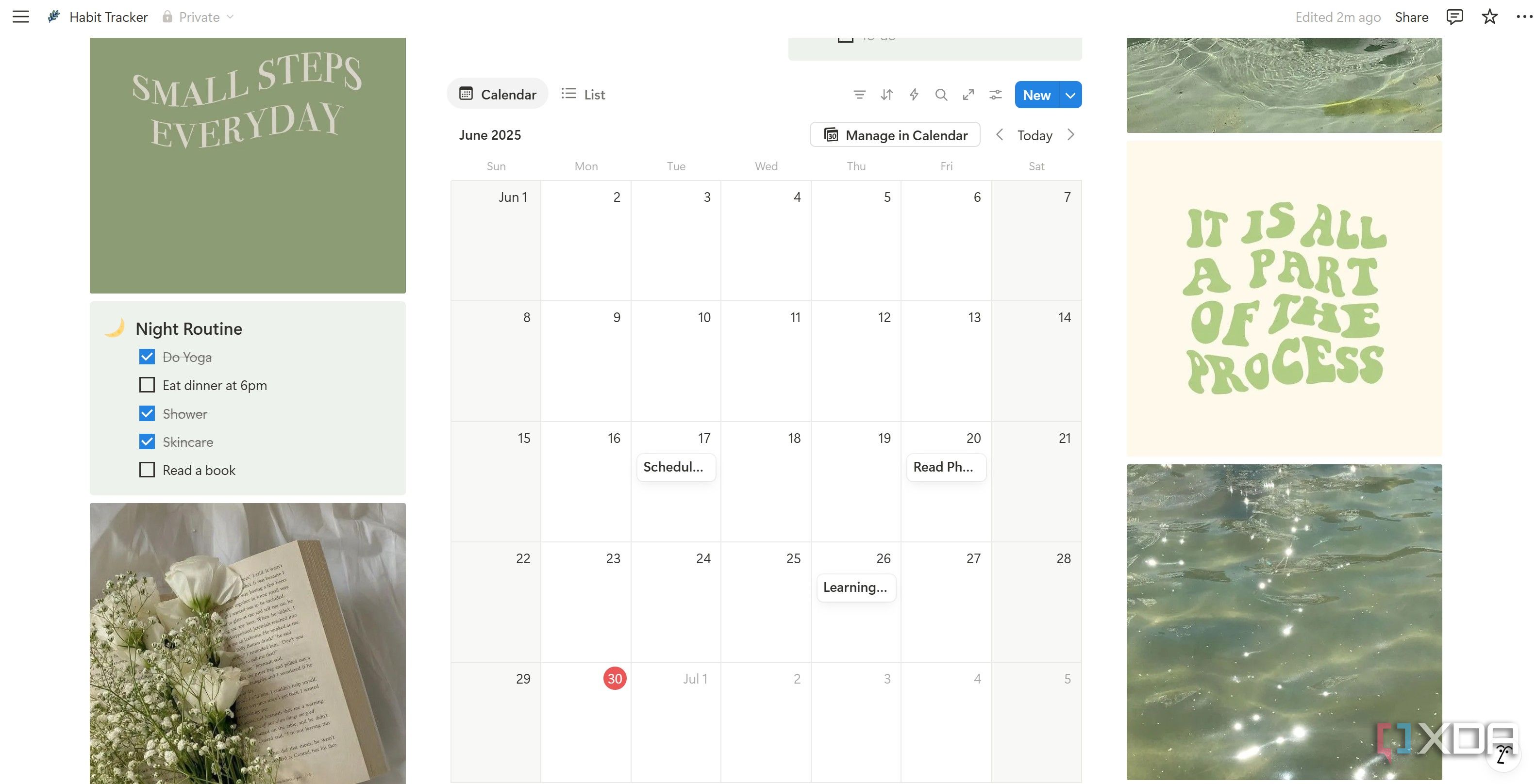 Calendar view in Habit Tracker Notion template