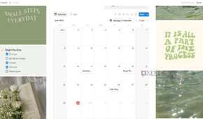 Calendar view in Habit Tracker Notion template