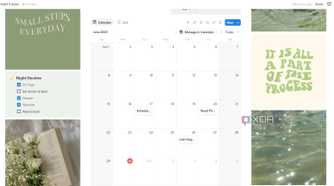 Calendar view in Habit Tracker Notion template