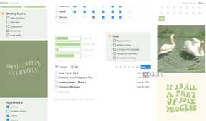 List view in Habit Tracker Notion template