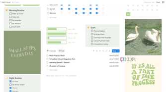List view in Habit Tracker Notion template